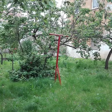 Oaza V Centru * زنويمو